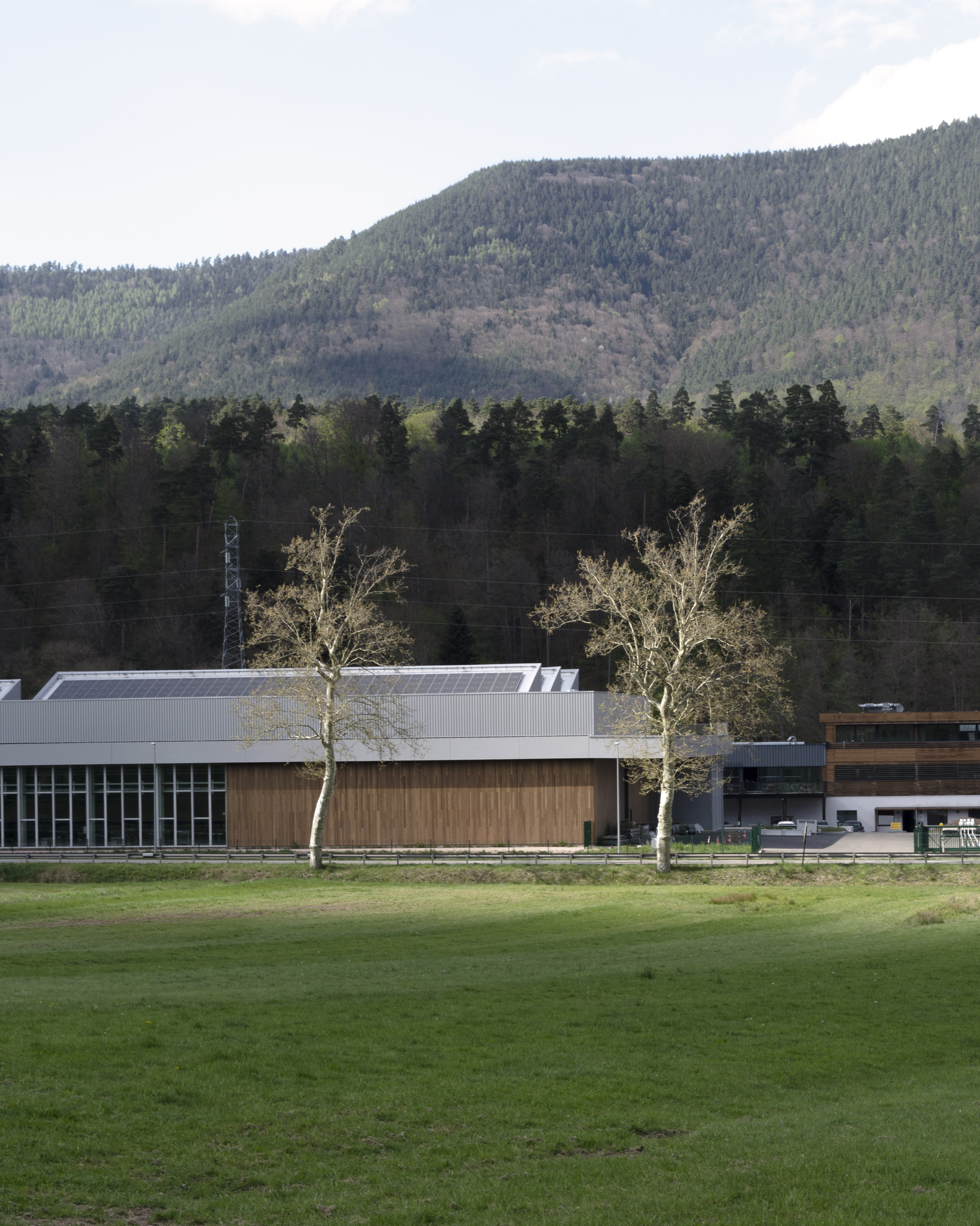 Bois l’Abbesse - © Temple