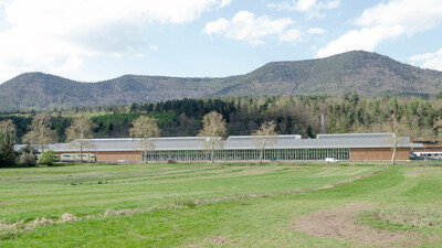 Bois l&#8217;Abbesse - © Temple