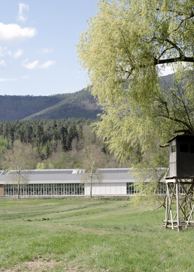 Bois l’Abbesse - © Temple