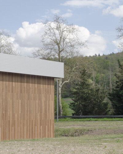 Bois l’Abbesse - © Temple