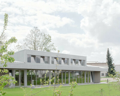 Tournesols - © Temple