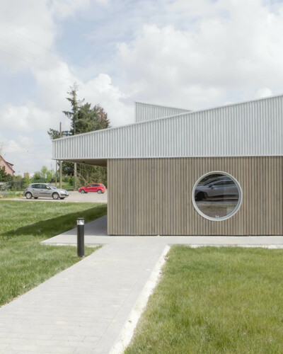 Tournesols - © Temple