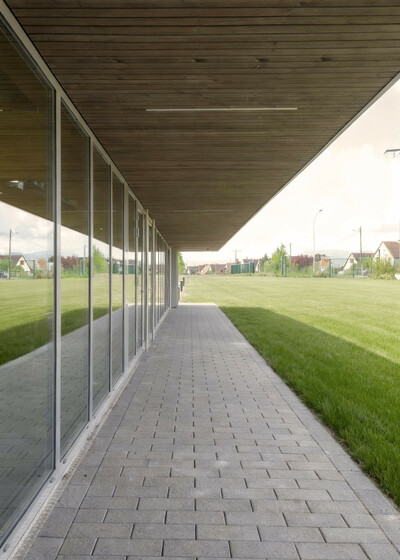 Tournesols - © Temple