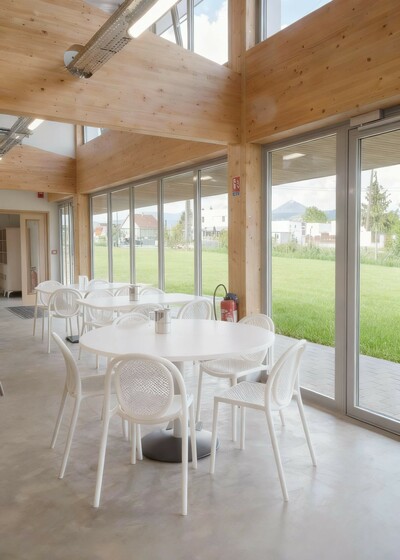 Tournesols - © Temple