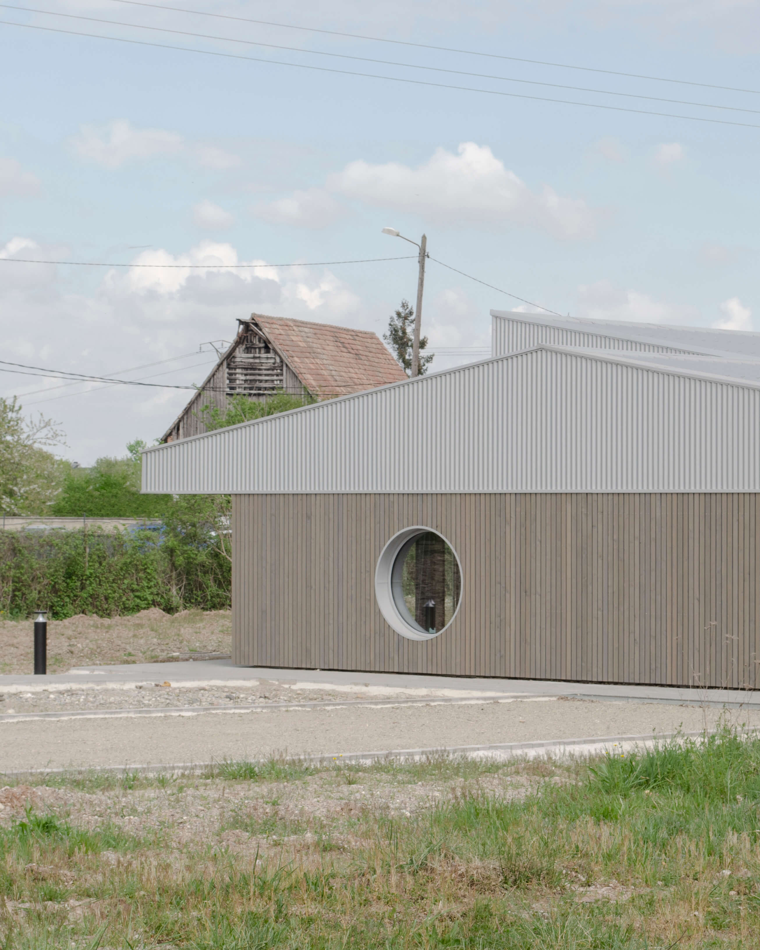 Tournesols - © Temple