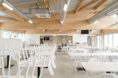 Tournesols - © Temple